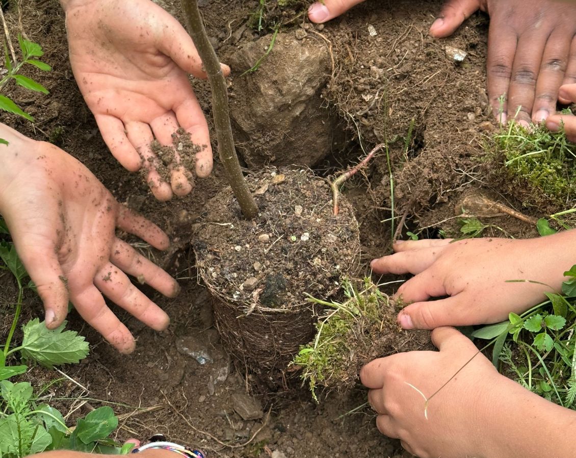 Ecomuseo Levico - Attivita quadrate (1)