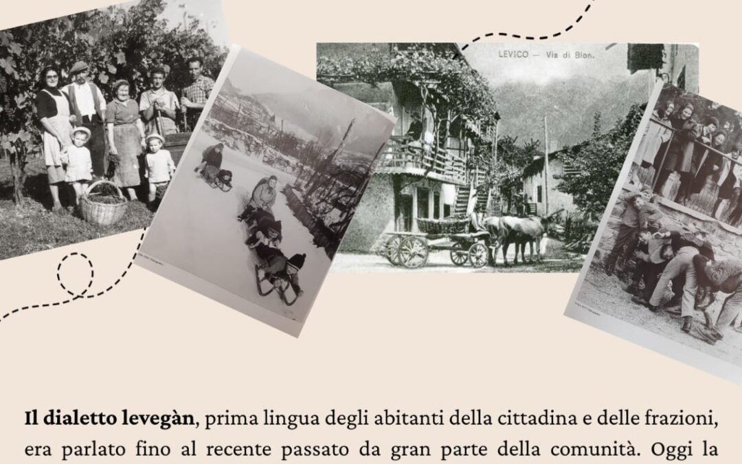 𝑃𝑎𝑟𝑜𝑙𝑒, 𝑑𝑒́𝑡𝑖, 𝑠𝑡𝑜𝑟𝑖𝑒̀𝑙𝑒, …𝑒𝑛 𝑙𝑒𝑣𝑒𝑔𝑎̀𝑛