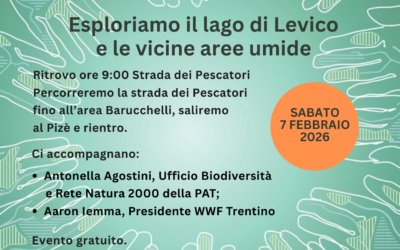 Giornata Internazionale delle aree umide